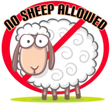 nosheep